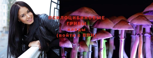 МДПВ Лагань