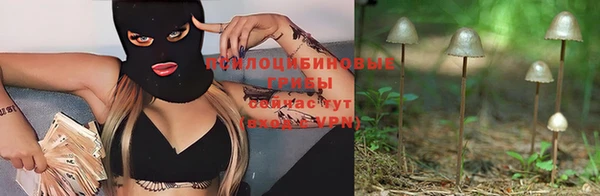 стафф Липки