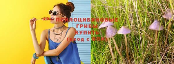 jwh Лиски