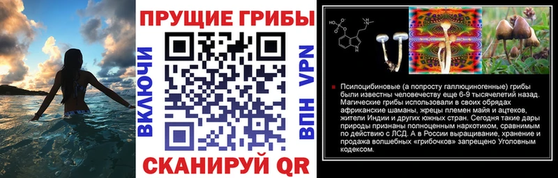 Псилоцибиновые грибы Magic Shrooms Купить закладки Задонск